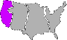 IIWEST Discord emoji