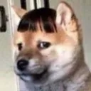 vien_cong0camxuc vien_cong0camxuc