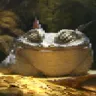 Goblor