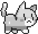 black_gatoCDW