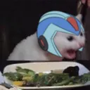 cateck