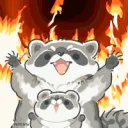 RaccoonFire