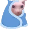 binguscozy