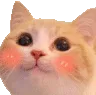 Catblush CatBlush Discord Emoji