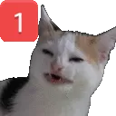 Pingcat Discord Emoji