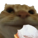 Cateat CatEat Discord Emoji