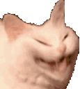 hehecathehe Discord Emoji