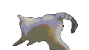cattwerkthiscatistwerking Discord Emoji