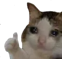 9109 Sad Cat Thumbs Up Discord Emoji
