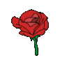 r_rose2