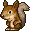 squirrel
