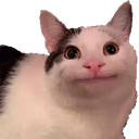 :1_:
