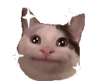 gatowishescat Discord Emoji