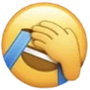 joyfacepalm