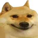 dogsmile