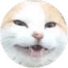 gibagul