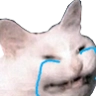 CattoCryo Discord emoji