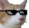 jdm_CattoCool jdm_CattoCool