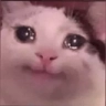 CattoSaddo Discord emoji