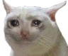 CattoSado Discord emoji