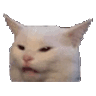 CattoWTF Discord emoji