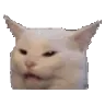CattoWTF