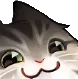 CatSmug