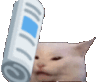 CattoWackoFasto Discord emoji