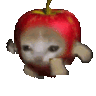CattoRunno Discord emoji