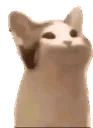 Poppingcat Discord Emoji