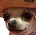 no