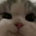 emoji_43