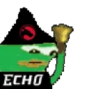 echoDoink