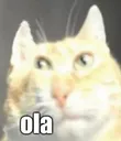 ola