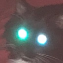 catglare Discord emoji
