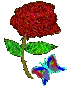 SRedNeonRose SRedNeonRose