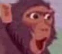 pogchimp