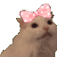 CatMoan Discord Emoji