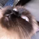 me