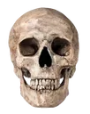 skullhd