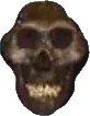 skullblack skullblack