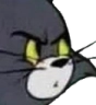 MemeTomWTF Discord emoji