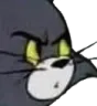 MemeTomWTF
