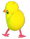 pollito