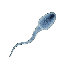 blue_sperm Discord Emoji