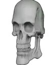 skullstare