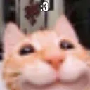333333