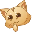 catFofo