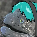 jeido