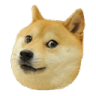 Doge Discord emoji